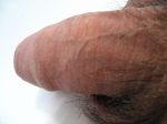IMG_0279.jpg