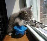 Watch_out_bitch.jpg