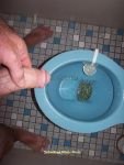 pee.jpg