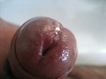 IMG_0277.jpg