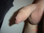 mycock10.JPG