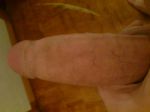 DSC00019.jpg